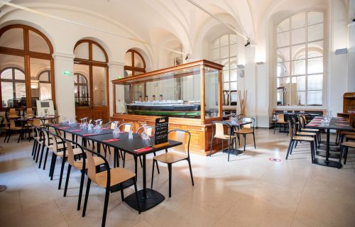Conservatoire National des Arts et Métiers, musée des Arts et Métiers, photographie du café des techniques.